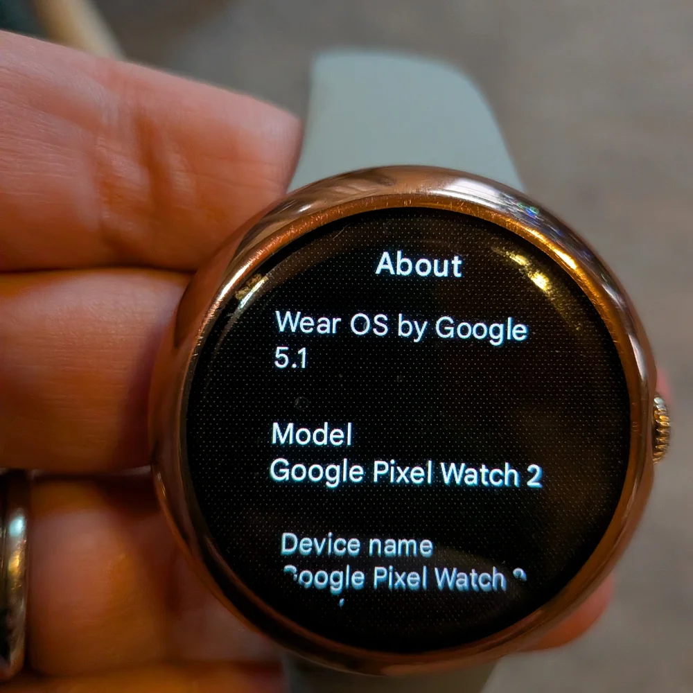 Google Pixel Watch in Gray with Silver Crown
